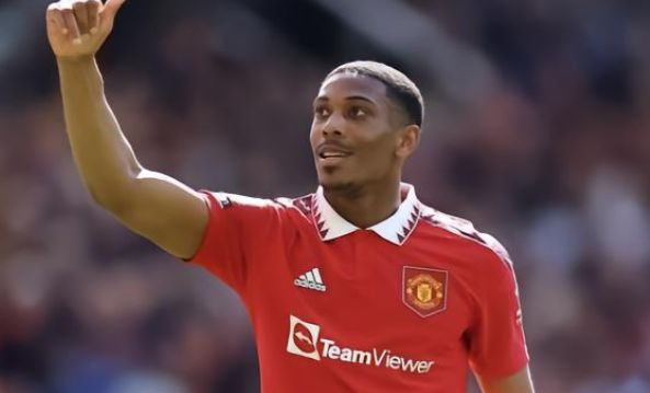 他在国际米 他在国际米